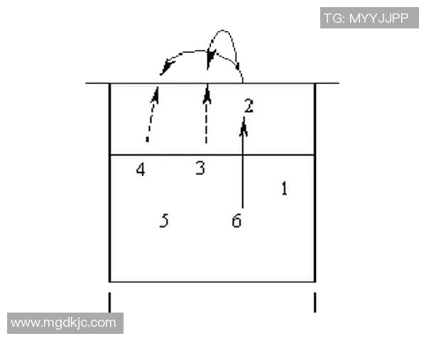 上海排球队总决赛战术解析与表现评估的深度分析 上海排球队总决赛战术解析与表现评估的深度分析