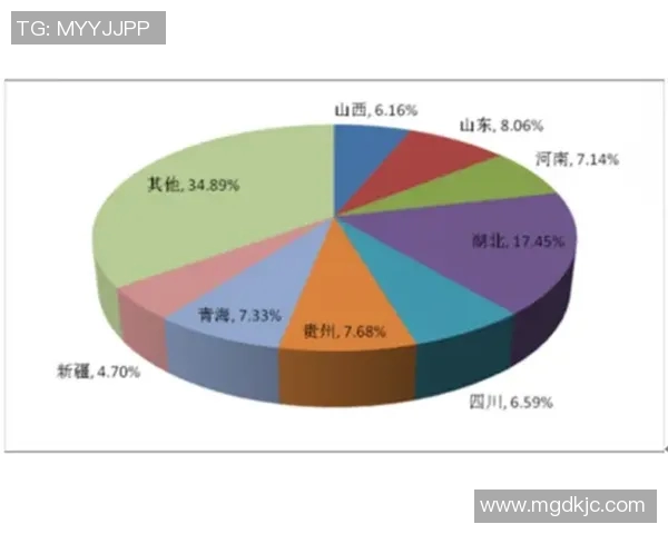 上海篮球队战术解析与发展趋势深度探讨 上海篮球队战术解析与发展趋势深度探讨