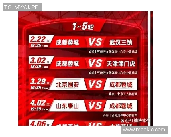 成都排球队在大师赛中的技术表现分析与评价 成都排球队在大师赛中的技术表现分析与评价