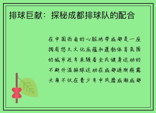 排球巨献：探秘成都排球队的配合
